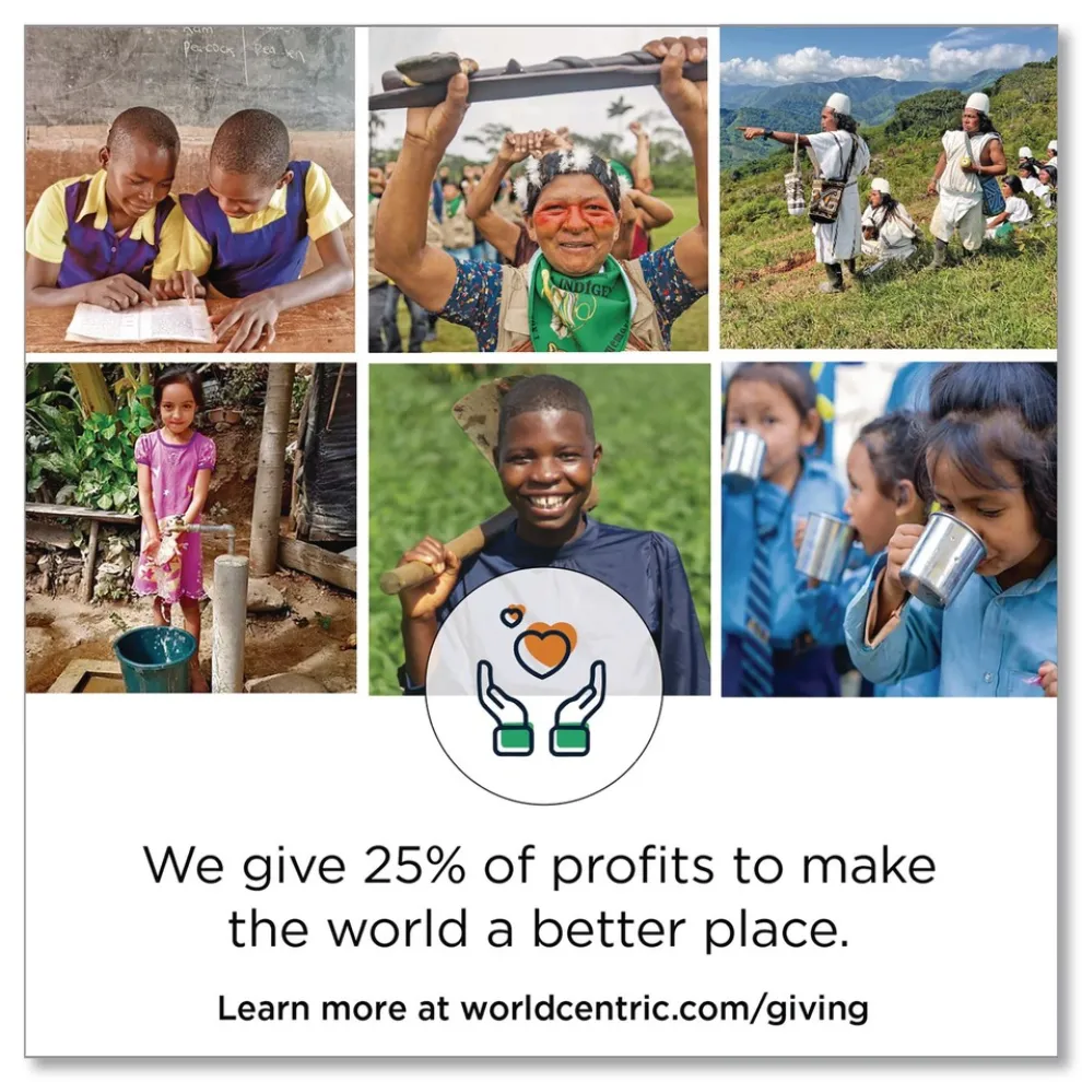 World Centric TO-SC-U85-3-LFP 7 in. x 8.3 in. x 3.2 in. Paper Fiber Hinged Containers - Natural (300/Carton)