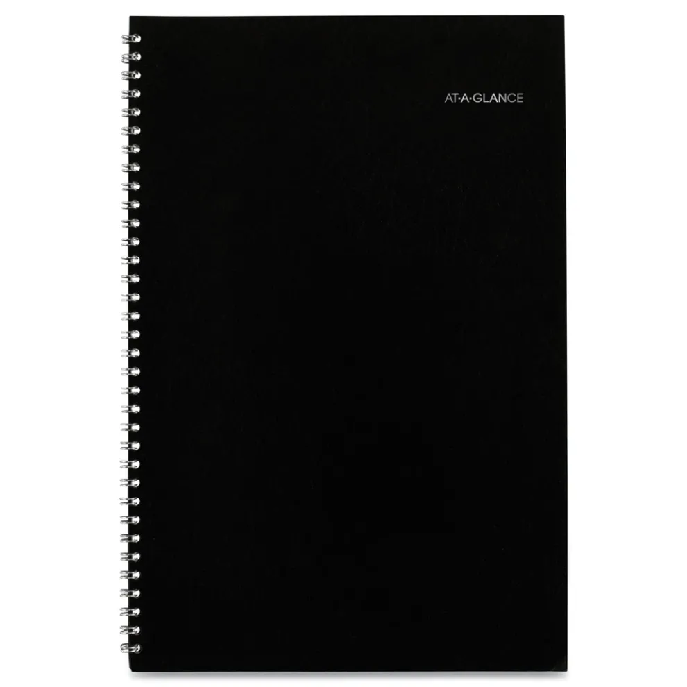 AT-A-GLANCE 12 in. x 8 in. 14-Month (Dec 2025-Jan 2027) DayMinder Monthly Planner - Black Cover