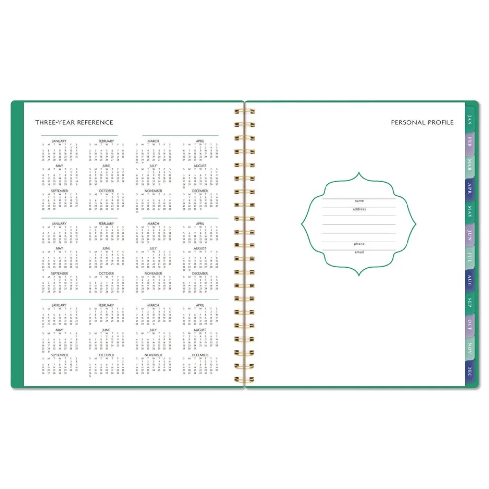 AT-A-GLANCE 11 in. x 8.5 in. 13-Month (Jan-Jan 2026) Badge Geo Weekly/Monthly Planner - Green Cover