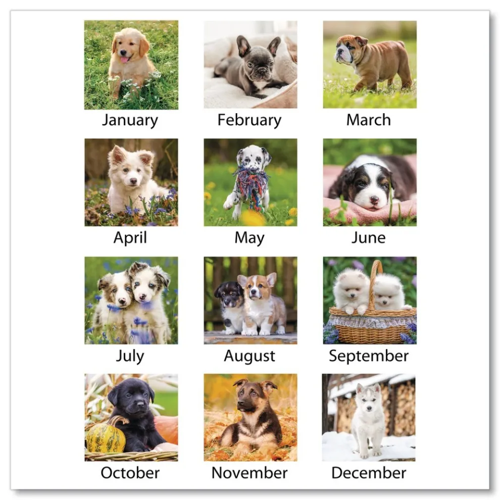 AT-A-GLANCE 12-Month (Jan to Dec): 2026 22 in. x 17 in. Puppies Photography Puppies Monthly Desk Pad Calendar - White Sheets, Clear Corners