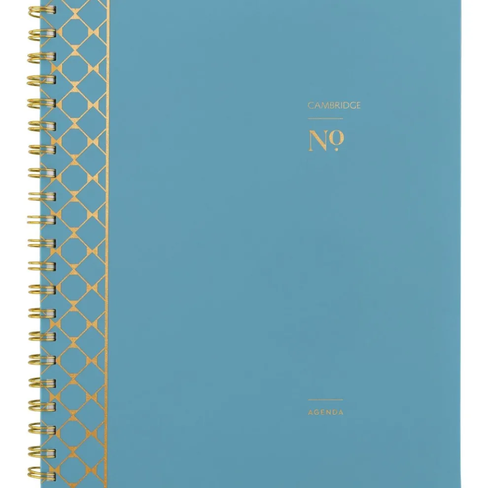 AT-A-GLANCE Workstyle 11 in. x 9.38 in. 12-Month (Jan to Dec) 2025 Geometric Artwork Weekly/Monthly Planner - Blue/Gold Cover