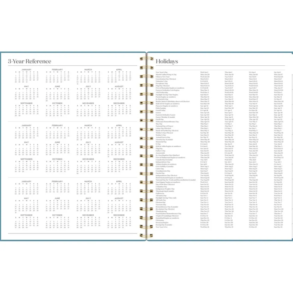 AT-A-GLANCE Workstyle 11 in. x 9.38 in. 12-Month (Jan to Dec) 2025 Geometric Artwork Weekly/Monthly Planner - Blue/Gold Cover