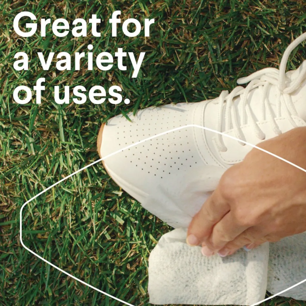 Clorox 12-Pack Citrus Blend Disinfecting Wipes