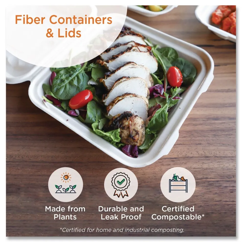 World Centric TRLSC10LF 7.8 in. x 10.1 in. x 0.5 in. Paper Fiber Lids for Fiber Containers - Natural (400/Carton)