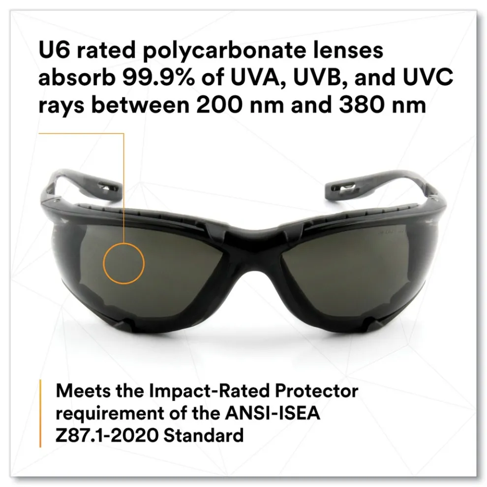 3M Virtua CCS Protective Eyewear with Foam Gasket - Black/Gray Plastic Frame Gray Polycarbonate Lens