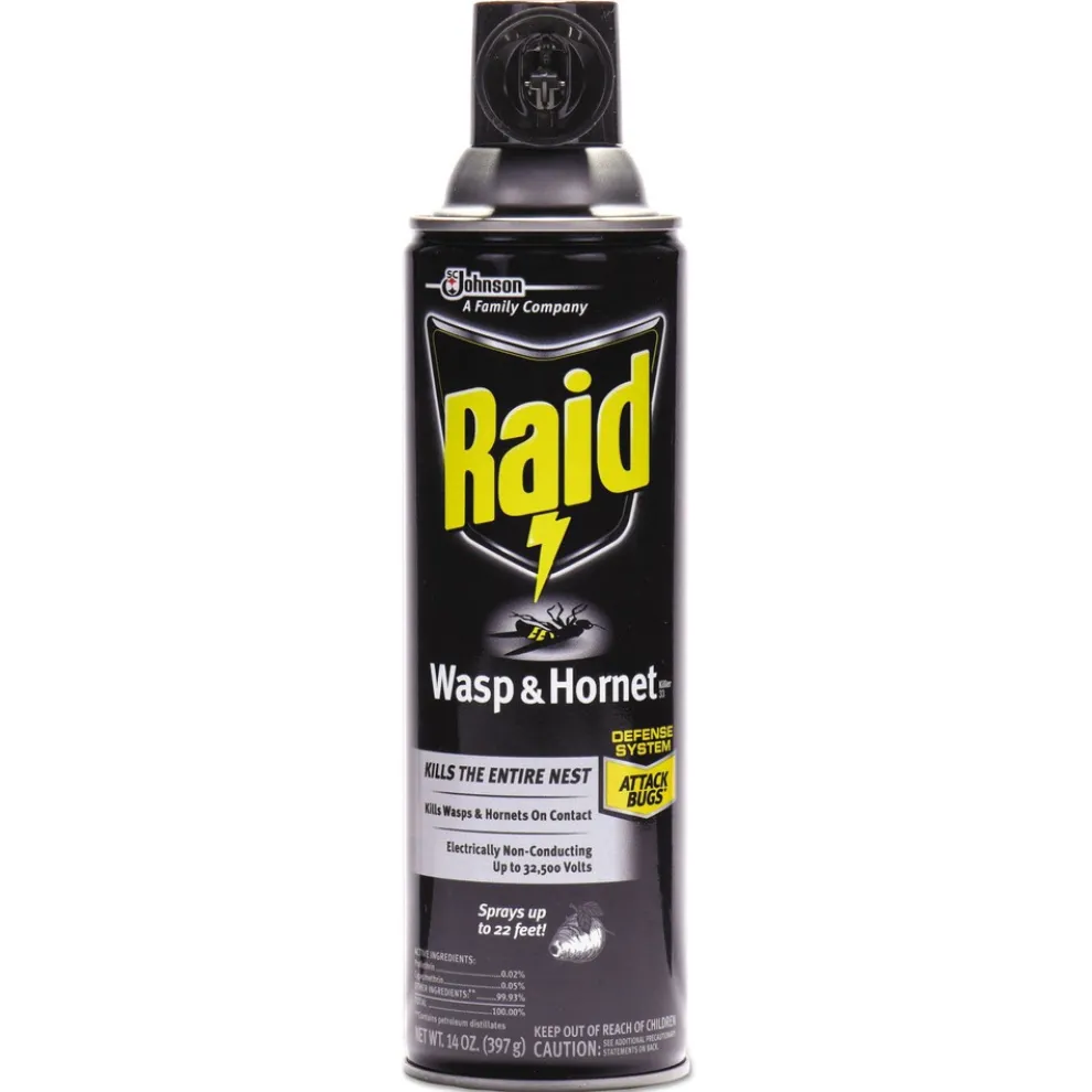 Raid 14-Ounce Wasp and Hornet Killer Spray (12/Carton)