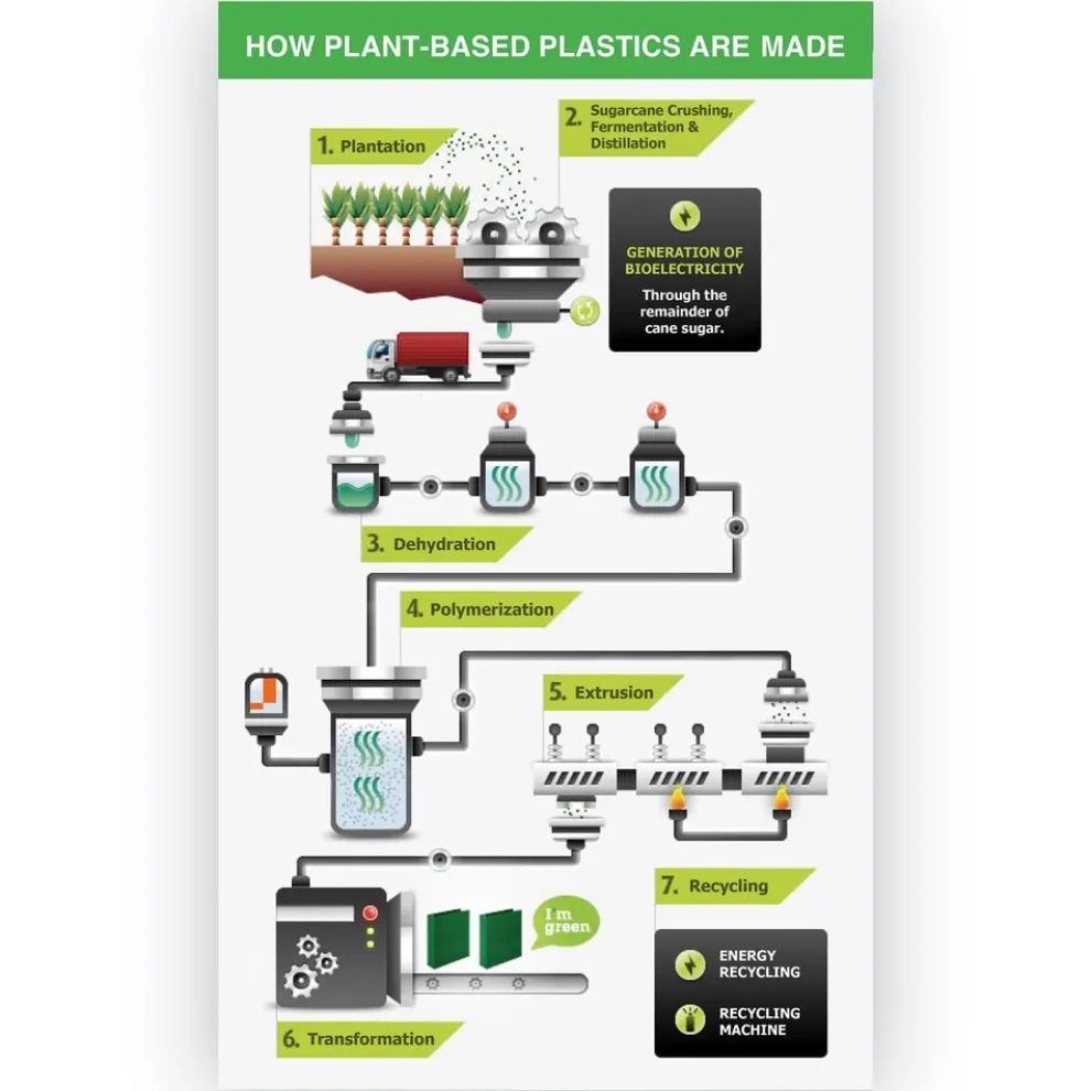 Samsill Earth's Choice Plant-Based BOHO 11 in. x 8.5 in. 1 in. Capacity D-Ring View Binders - Sage (2/Pack)