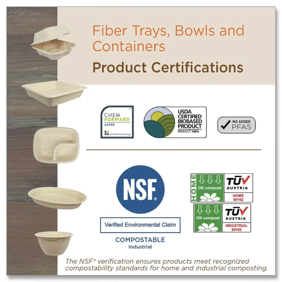 World Centric TO-SC-U9-LFP 9.2 in. x 9.1 in. x 3.2 in. Paper Fiber Hinged Containers - Natural (300/Carton)