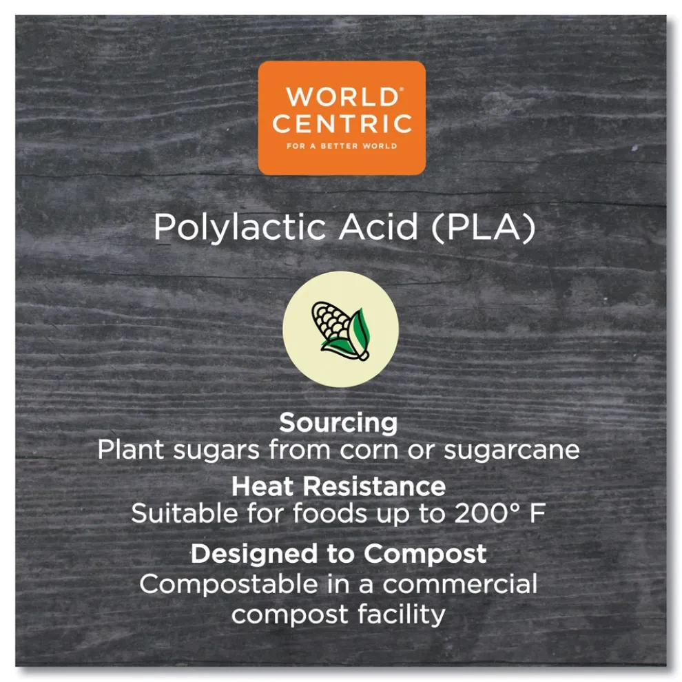 World Centric TRLCS10 7.8 in. x 10.2 in. x 0.5 in. Plastic Lids for TRSC60 Fiber Containers - Clear (400/Carton)